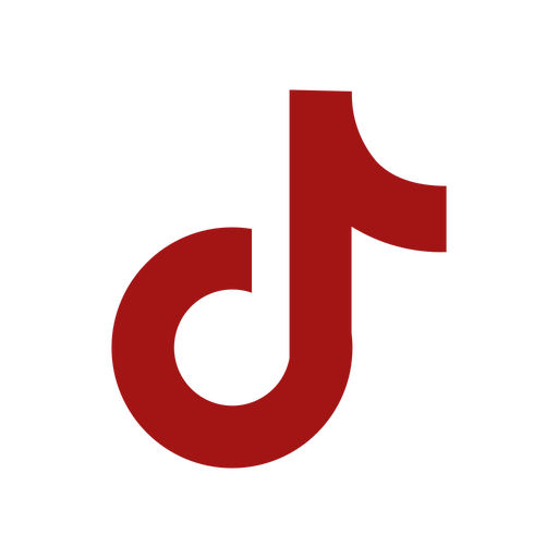 Tiktok icon